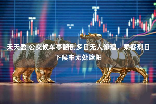天天盈 公交候车亭翻倒多日无人修理，乘客烈日下候车无处遮阳