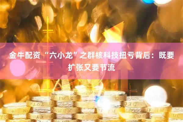 金牛配资 “六小龙”之群核科技扭亏背后：既要扩张又要节流