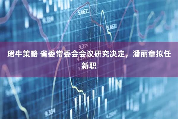 珺牛策略 省委常委会会议研究决定，潘丽章拟任新职