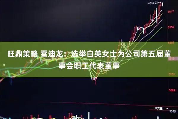 旺鼎策略 雪迪龙：选举白英女士为公司第五届董事会职工代表董事