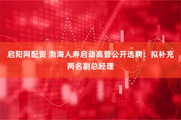启阳网配资 渤海人寿启动高管公开选聘：拟补充两名副总经理