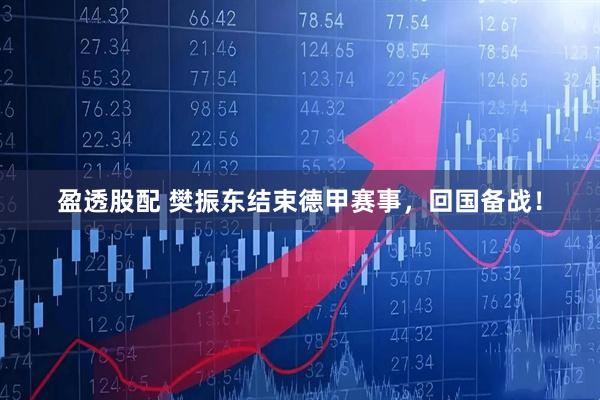盈透股配 樊振东结束德甲赛事，回国备战！