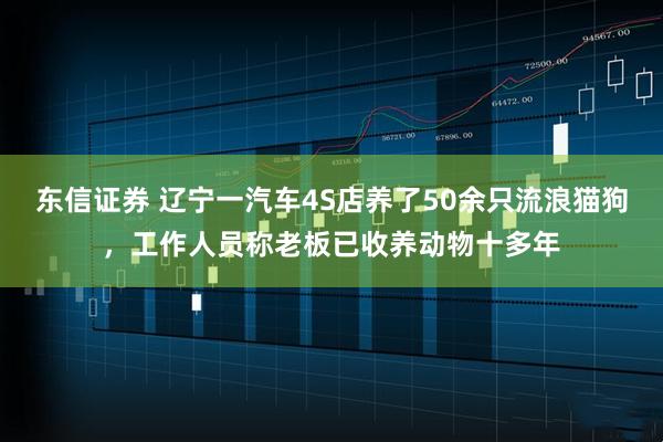 东信证券 辽宁一汽车4S店养了50余只流浪猫狗，工作人员称老板已收养动物十多年