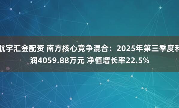 航宇汇金配资 南方核心竞争混合：2025年第三季度利润4059.88万元 净值增长率22.5%